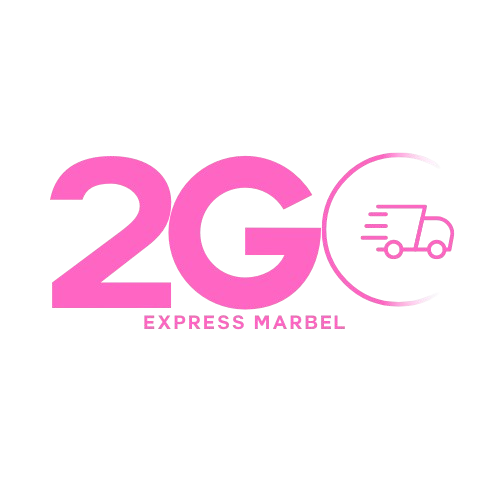 2GO Logistics Logo